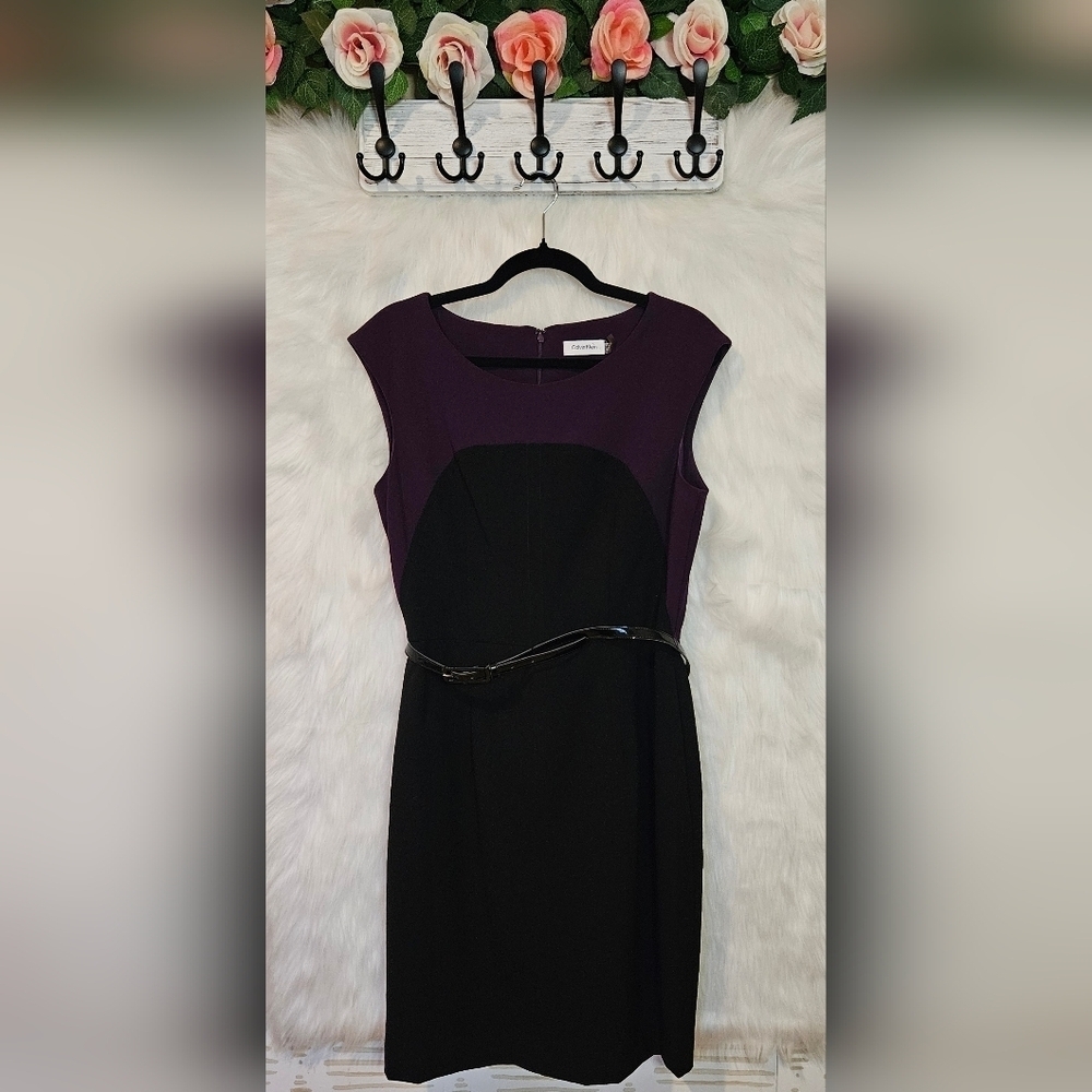 Calvin Klein Classic Plum Lined Colorblock Belted Dress